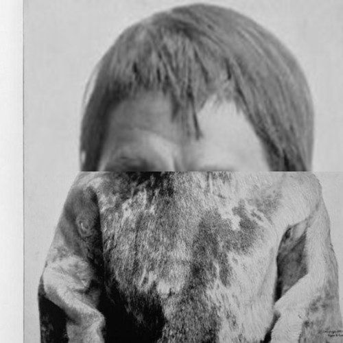 Konzert im KOLLABS (ABGESAGT)